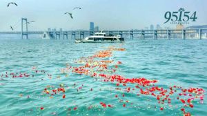 河南省新乡市延津县惠民殡葬服务项目和标准