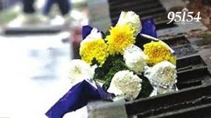 广东深圳龙岗区民政局组织大型殡葬惠民政策宣传活动